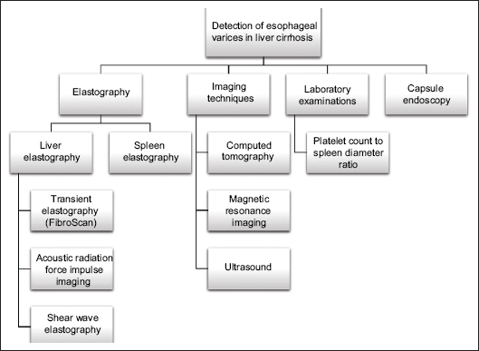 esophageal varices guidelines 2017