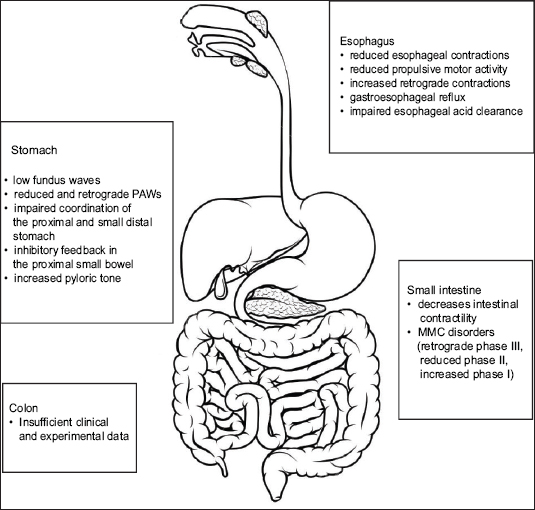 what causes decreased gastrointestinal motility