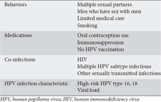 Hpv high risk subtypen. Hpv high risk subtypes